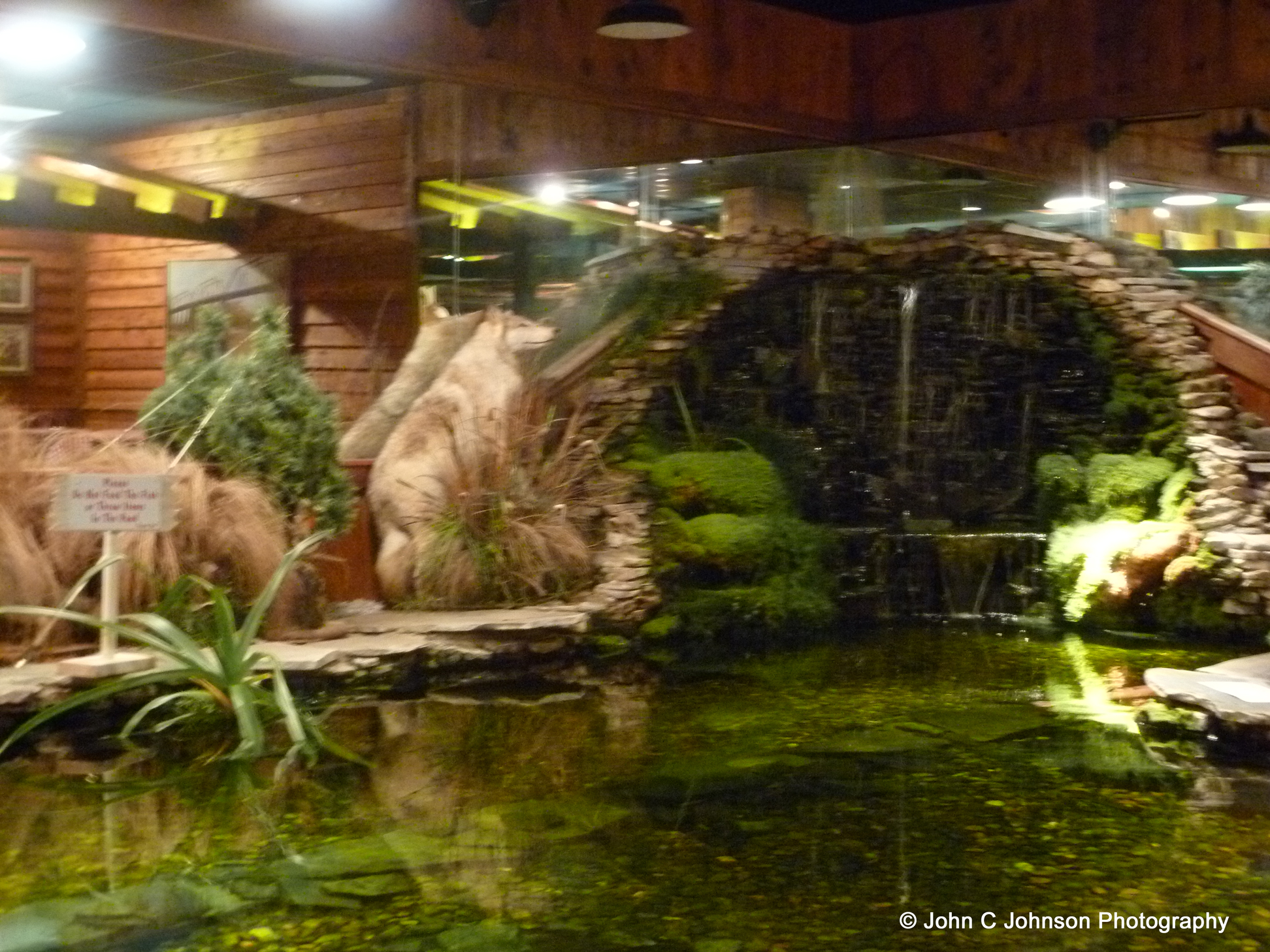 Caney Fork River Valley Grille Nashville, Tennessee